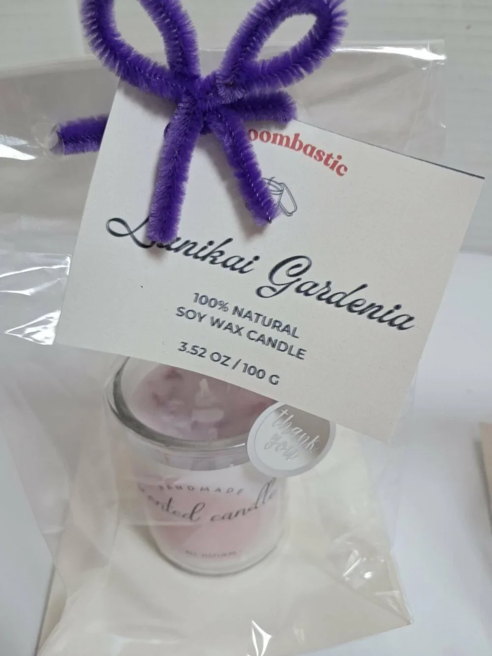 Handmade Soy Wax Candles 2pc Gardenia Apple Cinnamon 3.14oz
